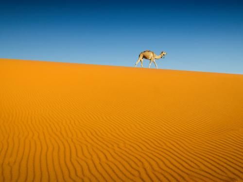 Circuit Grand Tour du Maroc pas cher photo 9