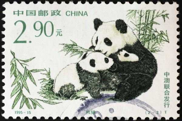 Combiné hôtels - Chine en liberté 3* pas cher photo 12