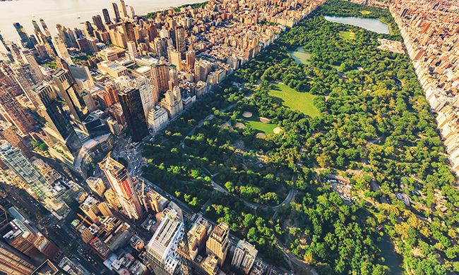 INDISPENSABLE NEW YORK pas cher photo 3