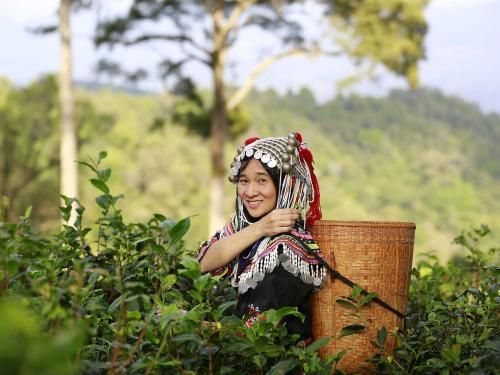 Circuit Couleurs de Thaïlande 3* pas cher photo 3