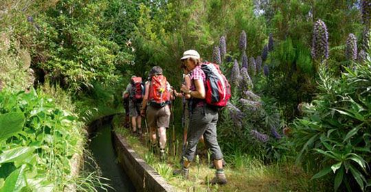 Madère Saveur Rando 5* - Madère pas cher photo 4
