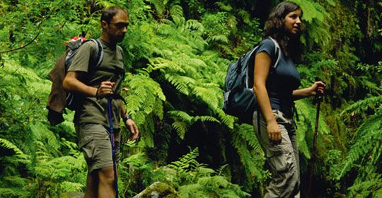 Madère Saveur Rando 5* - Madère pas cher photo 5