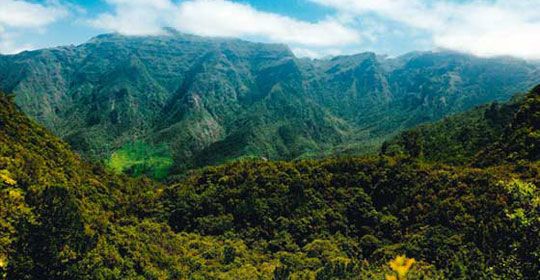 Madère Saveur Rando 5* - Madère pas cher photo 6
