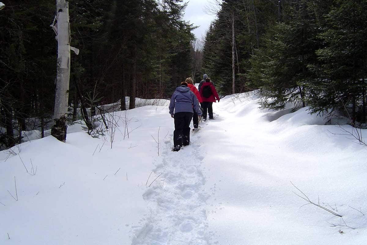 Sensationnelle Magie des Neiges - Odanak pas cher photo 9