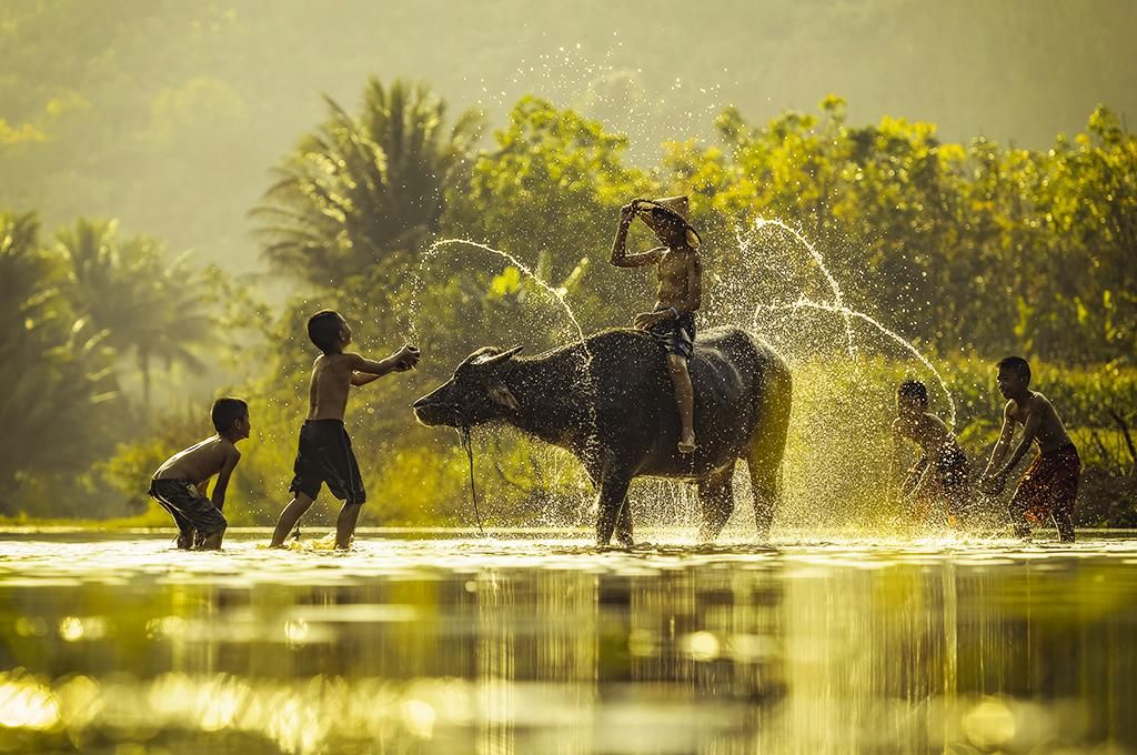 Circuit Vietnam Tropical 4/5* pas cher photo 7