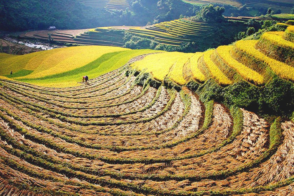 Circuit Beauté du Nord Vietnam 4* pas cher photo 8