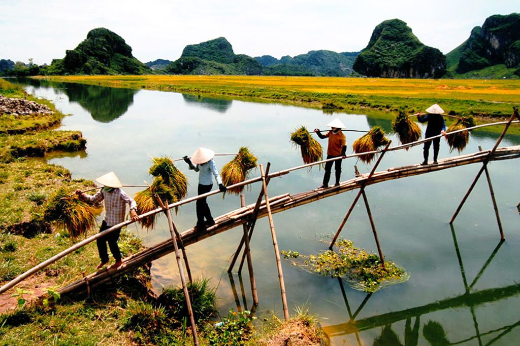 Circuit Beauté du Nord Vietnam 4* pas cher photo 10