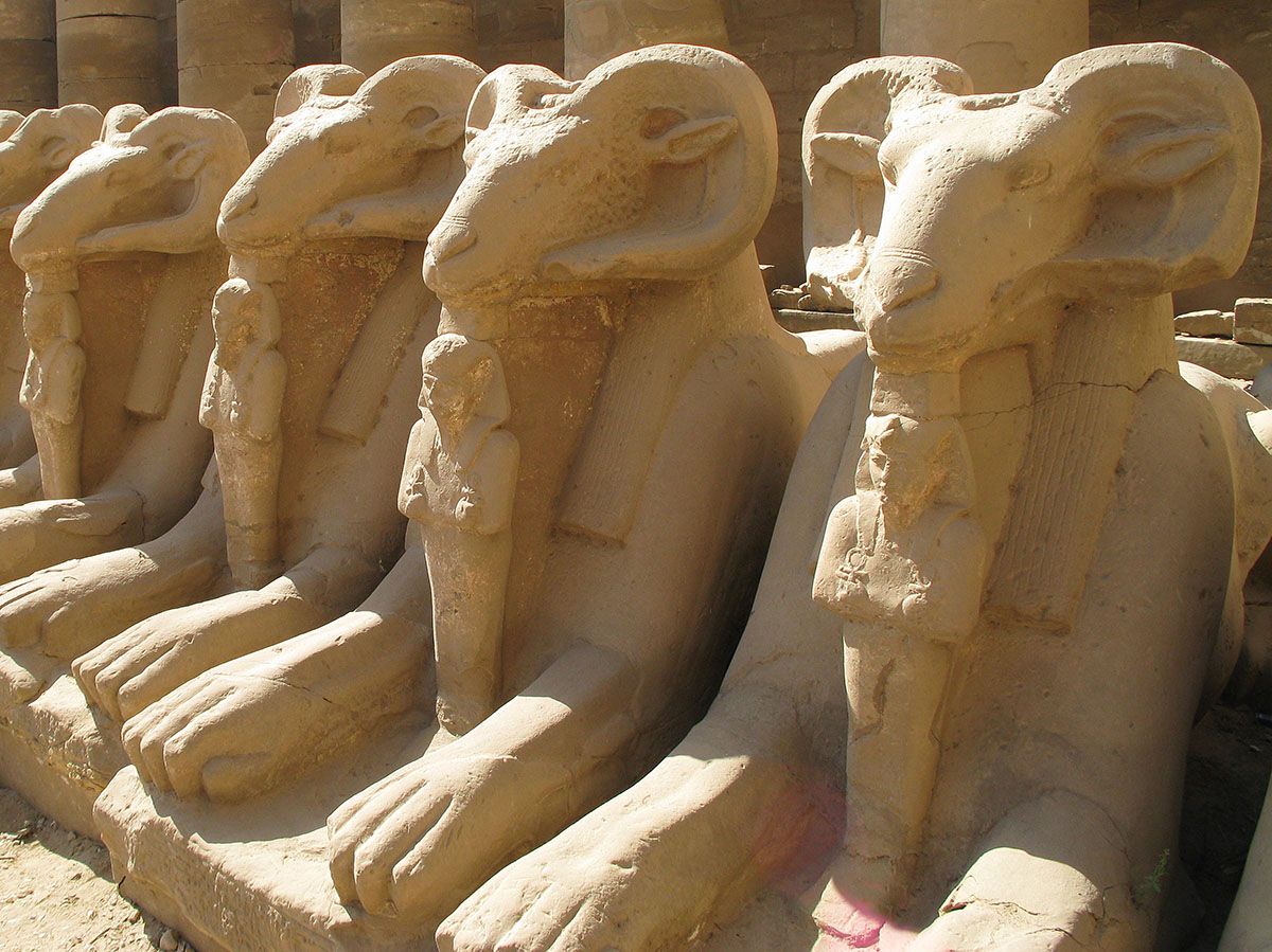 RAMSES 15J pas cher photo 6