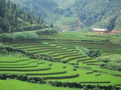 Welcome Vietnam ! A prix imbattable ! pas cher photo 4