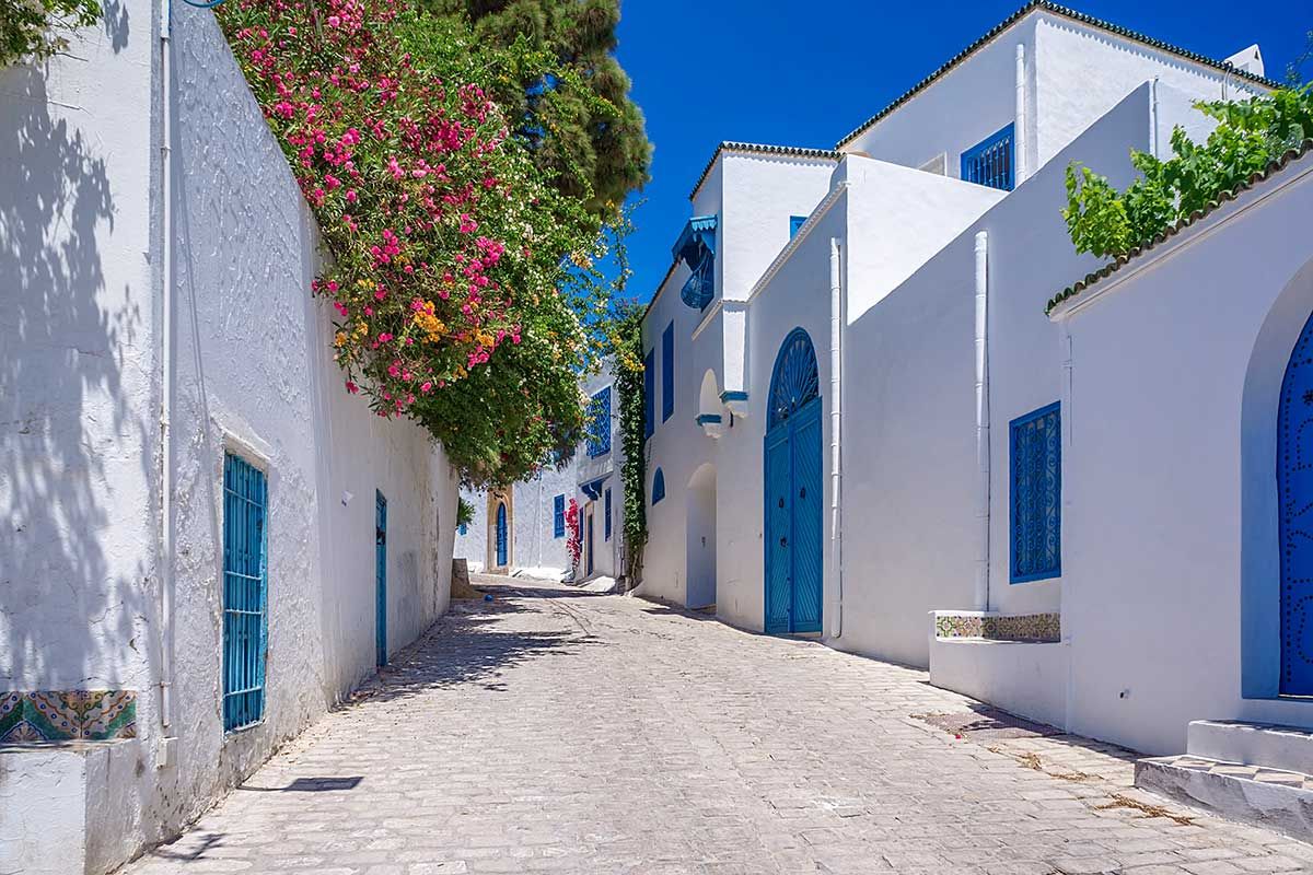 Circuit Sourire carthaginois pas cher photo 6