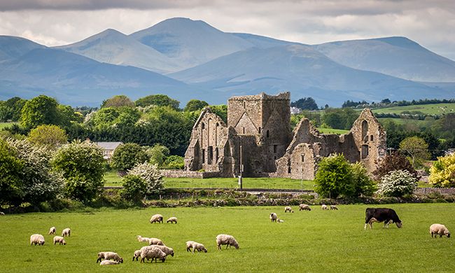 INDISPENSABLE IRLANDE pas cher photo 1