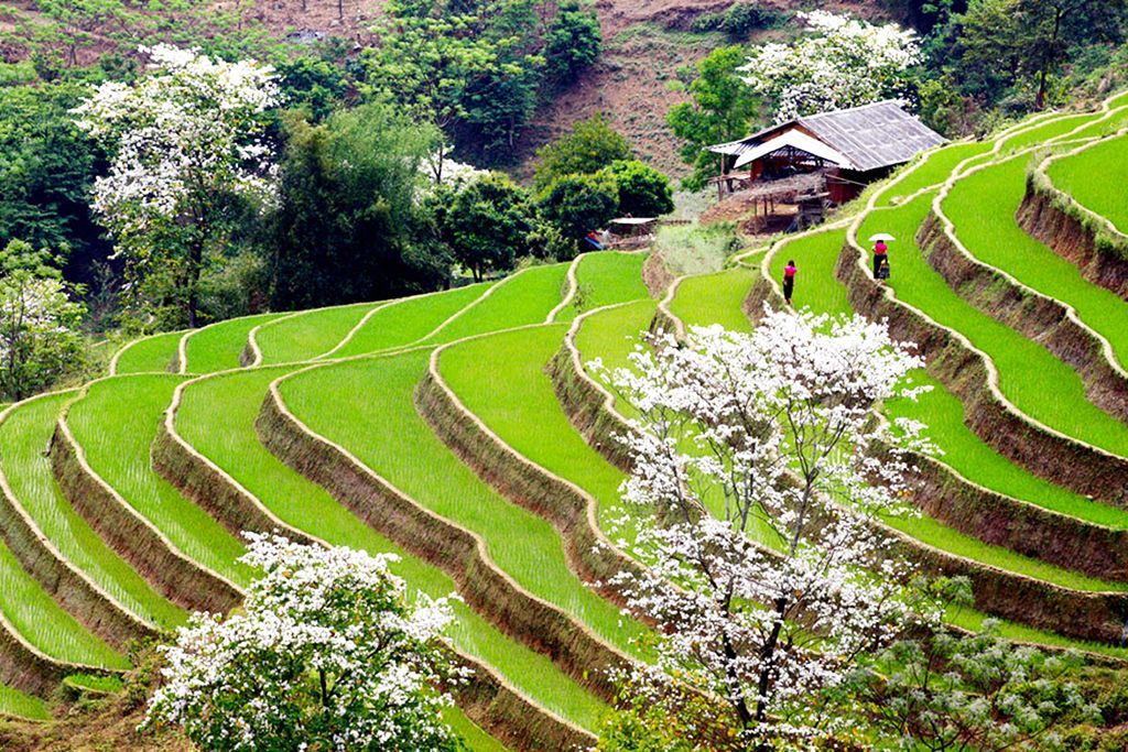 Beauté du Nord Vietnam 4* pas cher photo 4