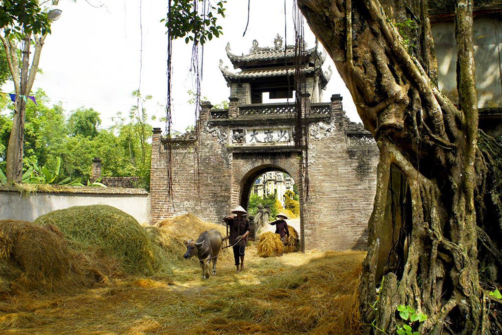 Beauté du Nord Vietnam 4* pas cher photo 5