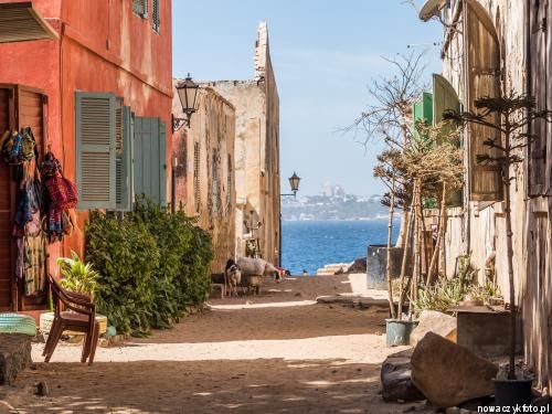 Circuit Découverte du Siné-Saloum (Hiver 19/20) pas cher photo 3