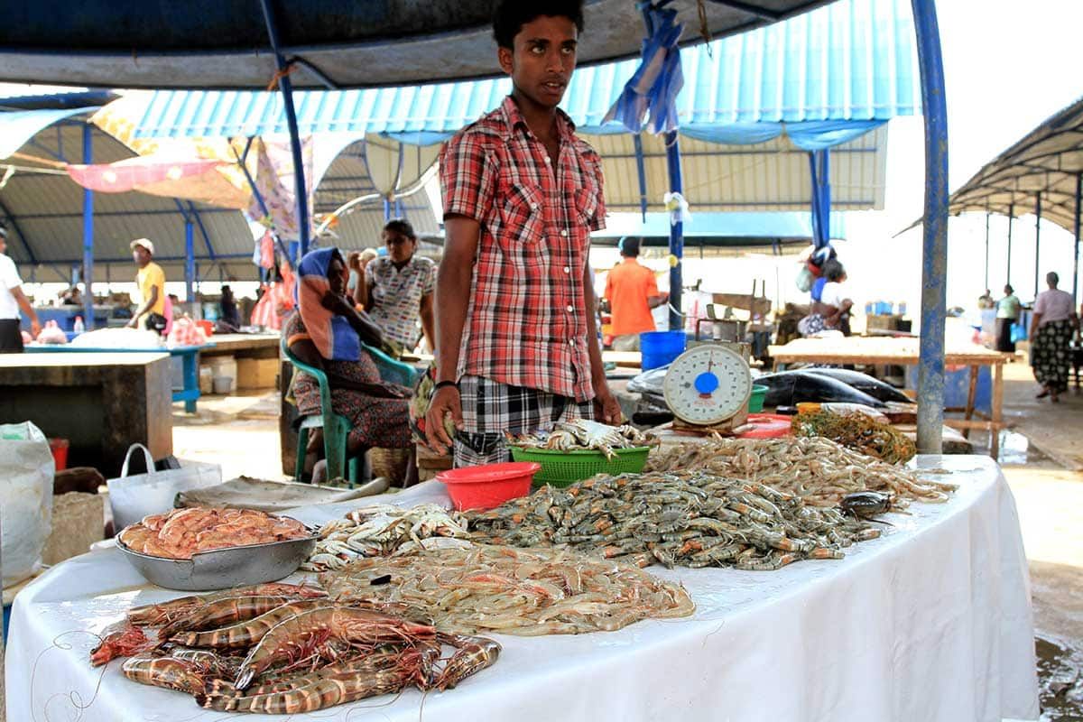 Circuit Trésors du Sri Lanka pas cher photo 2