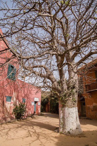 Evasion du Sénégal à la Gambie pas cher photo 6