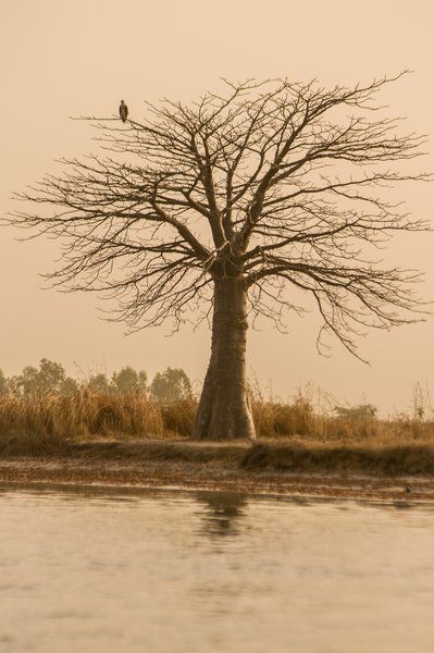 Evasion du Sénégal à la Gambie pas cher photo 11