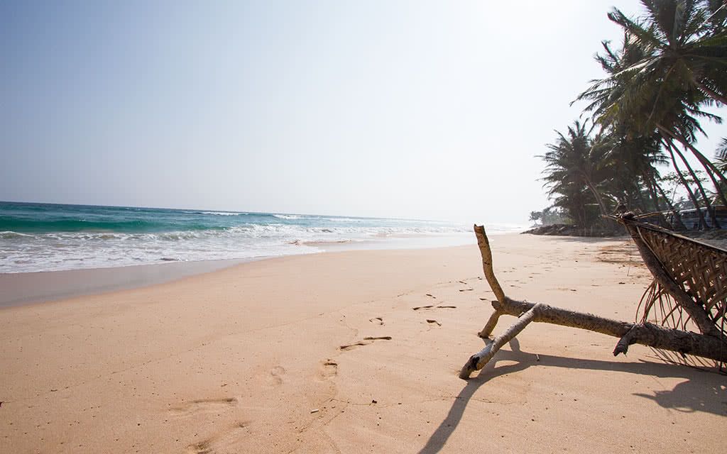 Circuit Découverte du Sri Lanka - 5 Nuits pas cher photo 8