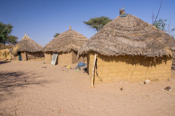 Evasion dans le Sine Saloum pas cher photo 1