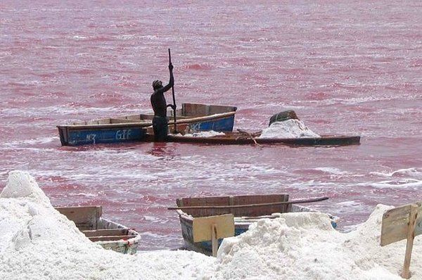 Evasion dans le Sine Saloum pas cher photo 2