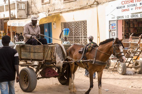 Evasion dans le Sine Saloum pas cher photo 4