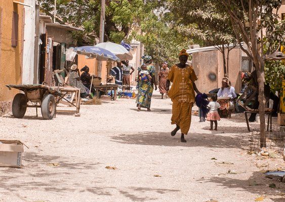 Evasion dans le Sine Saloum pas cher photo 5
