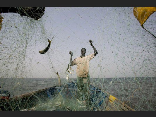Evasion dans le Sine Saloum pas cher photo 8