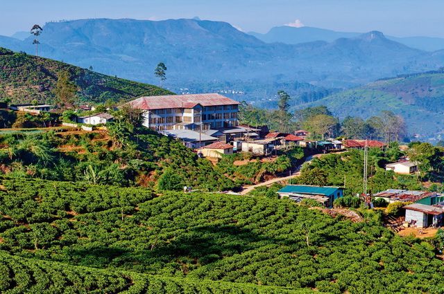 Ceylan Essentiel - Sri Lanka pas cher photo 1