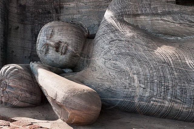 Ceylan Essentiel - Sri Lanka pas cher photo 7