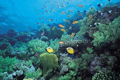 Bali, l'île des Dieux 4* pas cher photo 4