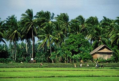 Soleils de Bali 3* : découverte & farniente pas cher photo 12