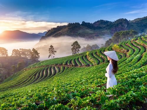 Circuit Trésors du Vietnam 3* pas cher photo 1