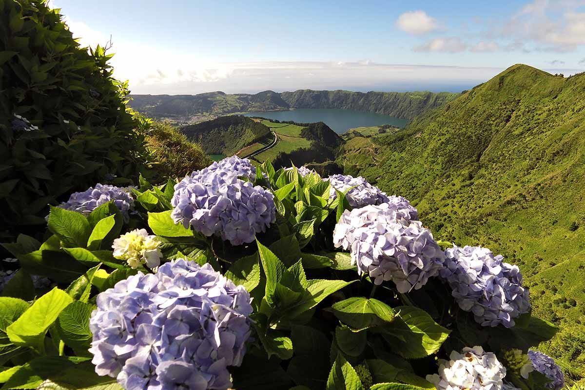 Circuit Açores grandeur nature pas cher photo 3