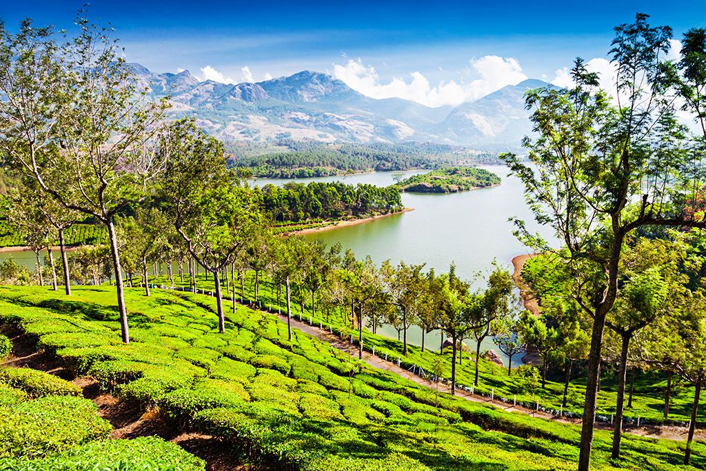 En route vers l'Inde du Sud pas cher photo 1