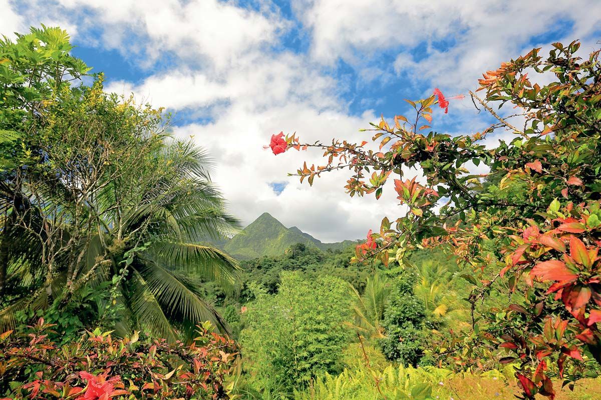 Echappée Martinique Insolite depuis le Club Héliades l'Impératrice Village pas cher photo 2
