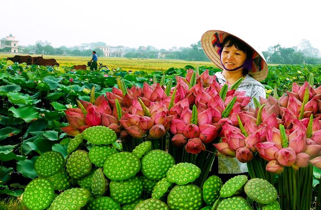 Charmes du Vietnam 4/5* pas cher photo 5