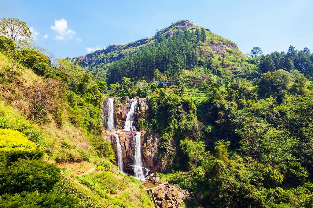 Les Immanquables Du Sri Lanka 3* pas cher photo 1