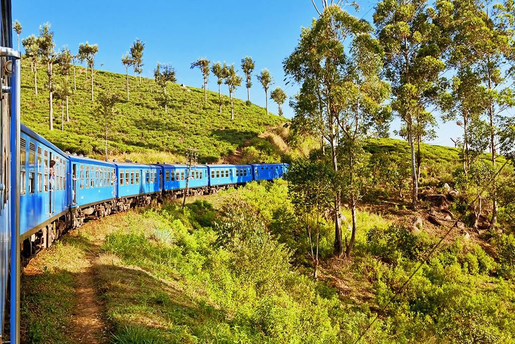 Les Immanquables Du Sri Lanka 3* pas cher photo 10