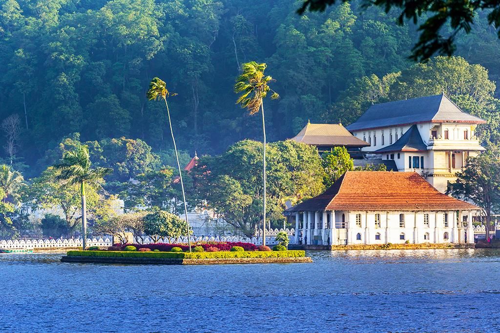 Les Immanquables Du Sri Lanka 3* pas cher photo 11