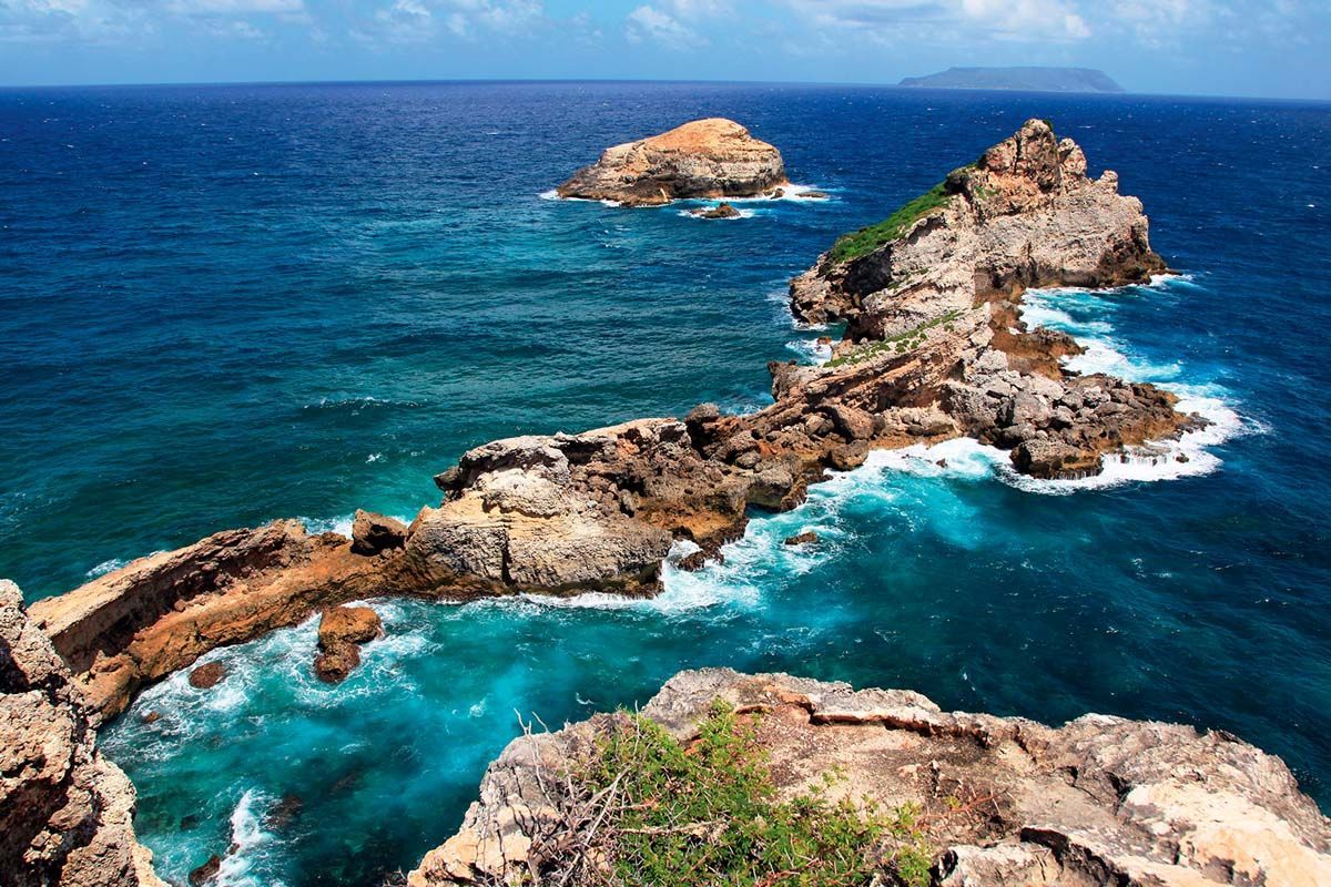 Découverte de l'île Papillon depuis le Karibea Beach Hôtel 3* pas cher photo 1