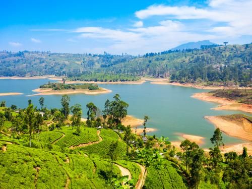 Circuit Merveilles du Sri Lanka pas cher photo 1