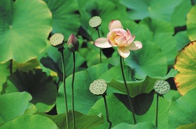 Des capitales du Vietnam à Hoi Han pas cher photo 9