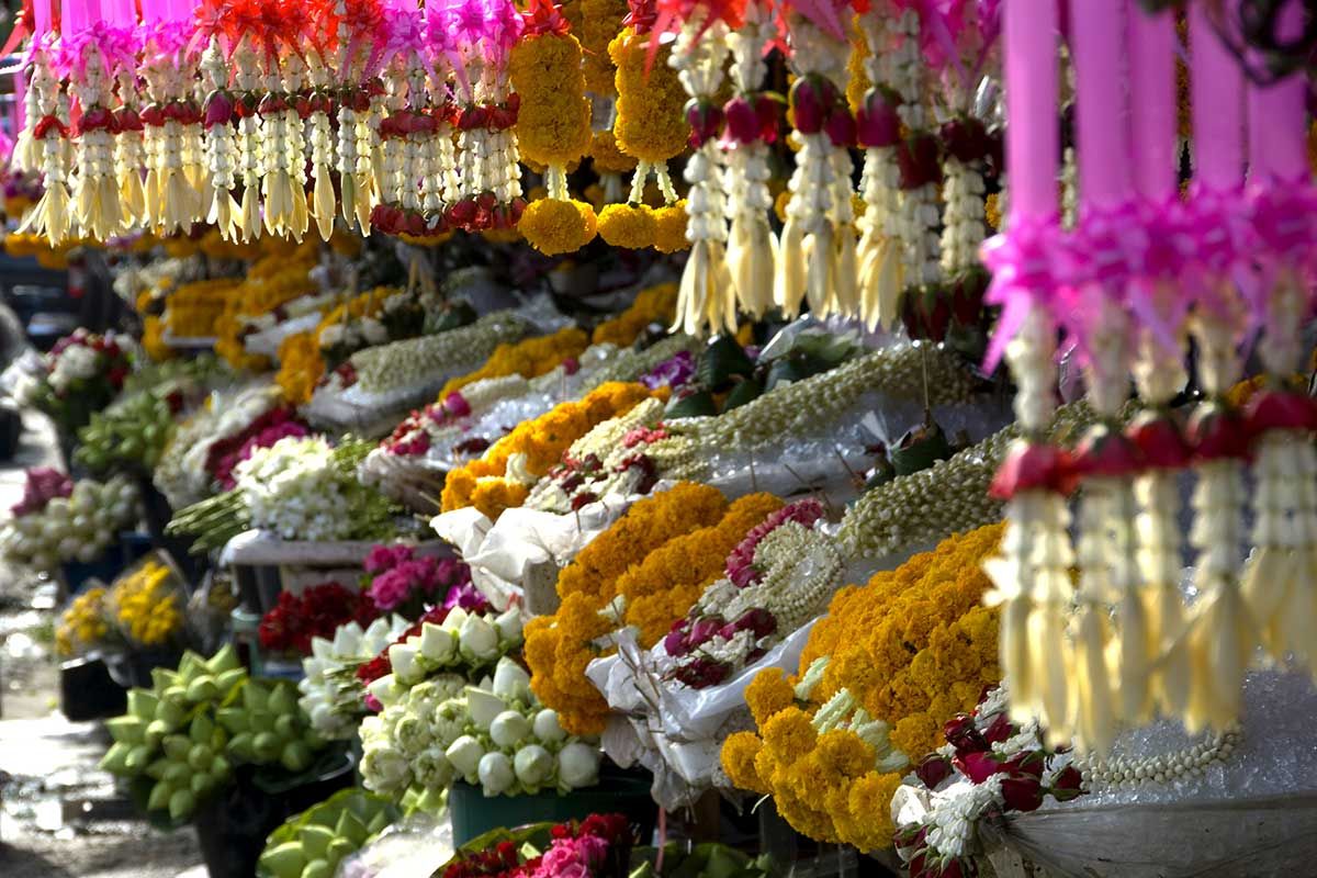 Circuit Siam lointain pas cher photo 10