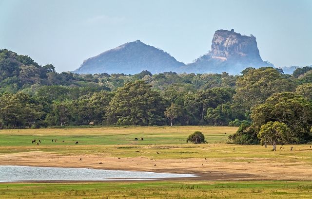 Splendeurs du Sri Lanka 10J/7N - 2019/2020 pas cher photo 11
