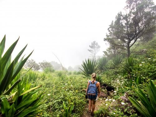 Circuit Circuit Santiago, l'île capitale du Cap Vert 4* pas cher photo 5