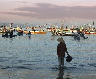La jungle d'Ubud aux sables de Bali 3* pas cher photo 7