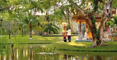 La jungle d'Ubud aux sables de Bali 3* pas cher photo 8