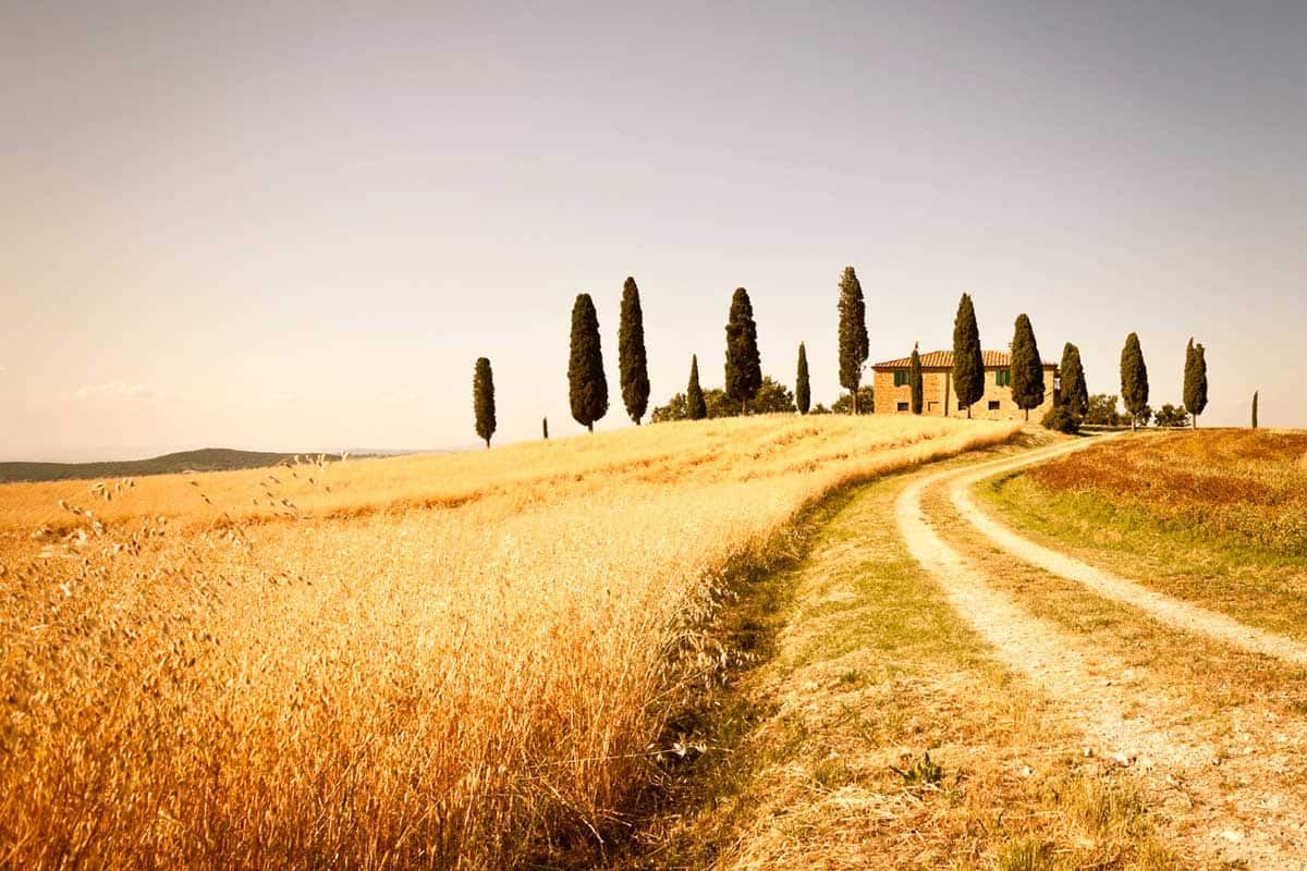 Circuit Au coeur de la Toscane pas cher photo 1