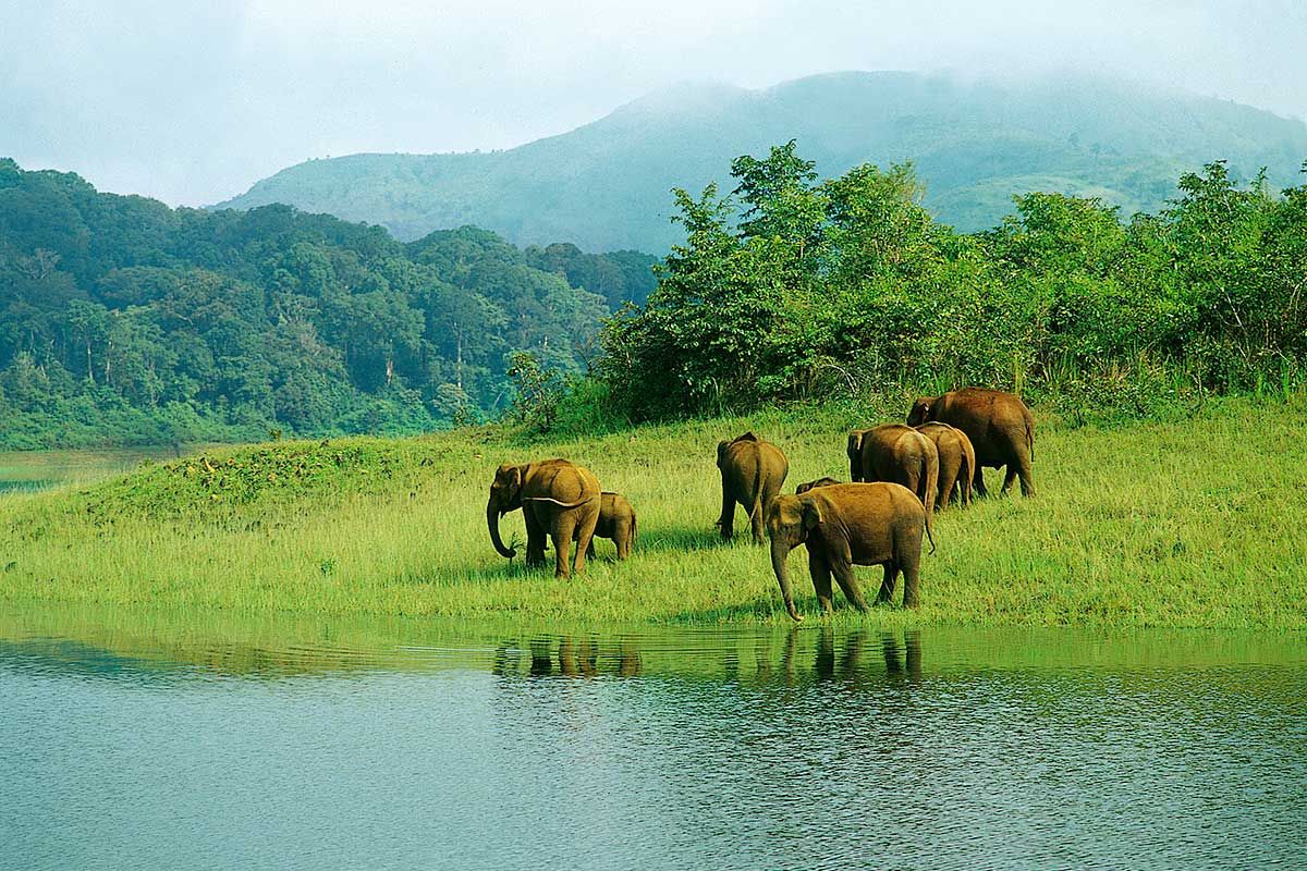 Circuit L'Inde du Sud pas cher photo 8