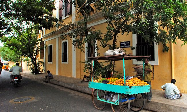 INDISPENSABLE INDE DU SUD pas cher photo 9